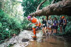 BIB: 
                            <button type="button" onclick="openModal(25371584)" class="btn btn-primary btn-sm float-right btn-popup" data-toggle="modal" data-target=".modal-high-quality">
                        <i class="fas fa-shopping-cart"></i> Add to Cart
                    </button>
                                            <button type="button" onclick="isThisMe(25371584, true)" class="btn btn-success btn-sm float-right btn-popup btn-isme hidden" data-toggle="tooltip" data-placement="bottom" title="นี่คือรูปของคุณใช่ไหม คลิกที่นี่เพื่อเอาเข้าอัลบั้ม">
                        <i class="fas fa-plus"></i> Add to album
                    </button>
                    <button type="button" onclick="isThisMe(25371584, false)" class="btn btn-warning btn-sm float-right btn-popup btn-isnotme hidden">
                        <i class="fas fa-ban"></i> Remove from album
                    </button>